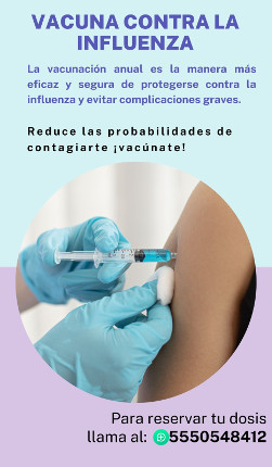 Campaña de vacunación contra la influenza 2022.